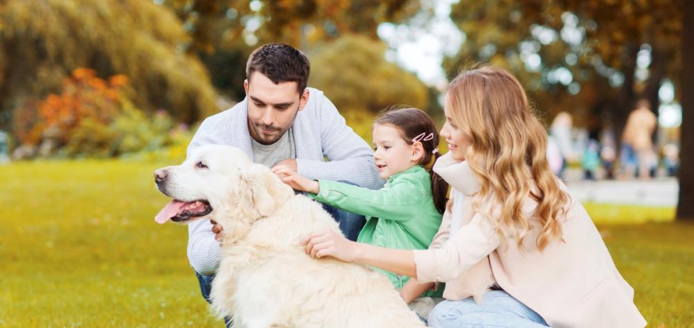 Istock 000076946021 medium 2